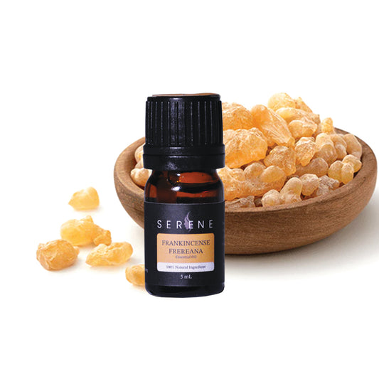 Frankincense Serrata Essential Oil