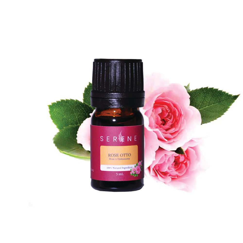 Serene Rose Body buying Oil